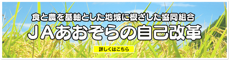 食と農を基軸とした地域に根ざした協同組合　ＪＡあおぞらの自己改革 